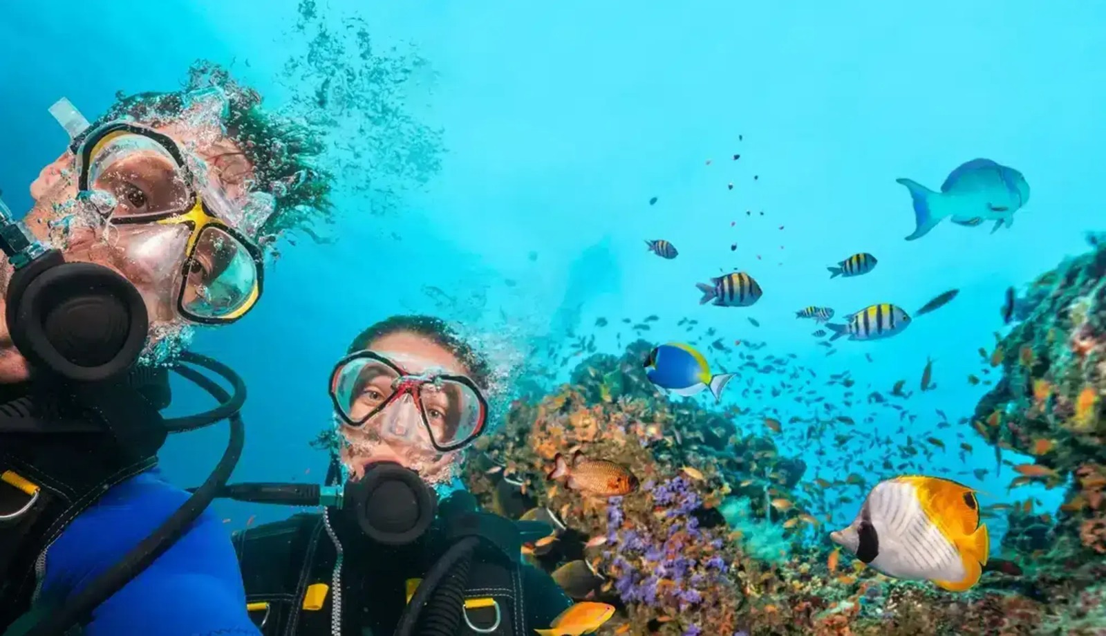 Scuba Diving / Su Altı Dalış Deneyimi